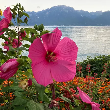 Apartment Au Bord Du - Vue Imprenable