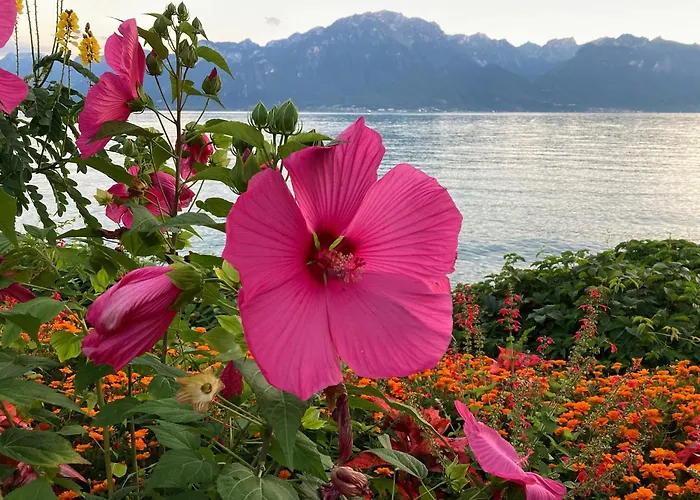 Apartman Au Bord Du - Vue Imprenable